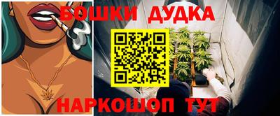 дмт Аша